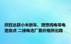 欣旺达获小米新车、理想纯电等电池定点 二线电池厂靠价格拼出路