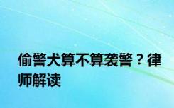 偷警犬算不算袭警？律师解读