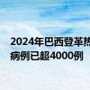 2024年巴西登革热死亡病例已超4000例