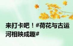 来打卡吧！#荷花与古运河相映成趣#