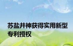 苏盐井神获得实用新型专利授权