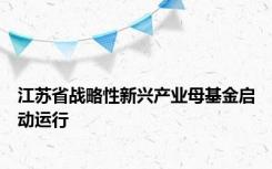 江苏省战略性新兴产业母基金启动运行