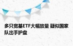 多只宽基ETF大幅放量 疑似国家队出手护盘