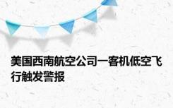 美国西南航空公司一客机低空飞行触发警报