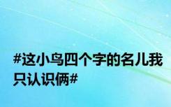 #这小鸟四个字的名儿我只认识俩#