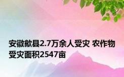 安徽歙县2.7万余人受灾 农作物受灾面积2547亩