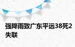 强降雨致广东平远38死2失联