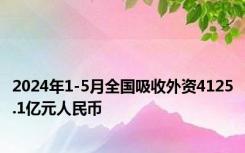 2024年1-5月全国吸收外资4125.1亿元人民币