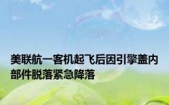 美联航一客机起飞后因引擎盖内部件脱落紧急降落