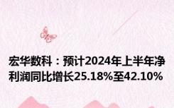 宏华数科：预计2024年上半年净利润同比增长25.18%至42.10%