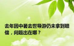 去年因中暑去世导游仍未拿到赔偿，问题出在哪？