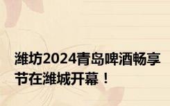 潍坊2024青岛啤酒畅享节在潍城开幕！