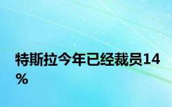 特斯拉今年已经裁员14%