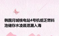 韩国月城核电站4号机组乏燃料池储存水凌晨泄漏入海