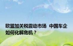 欧盟加关税震动市场  中国车企如何化解危机？