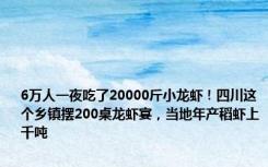 6万人一夜吃了20000斤小龙虾！四川这个乡镇摆200桌龙虾宴，当地年产稻虾上千吨