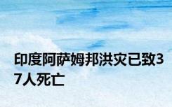 印度阿萨姆邦洪灾已致37人死亡