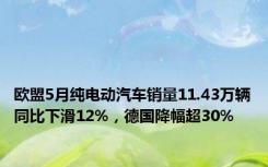 欧盟5月纯电动汽车销量11.43万辆同比下滑12%，德国降幅超30%