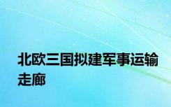 北欧三国拟建军事运输走廊