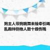 狗主人带狗跳舞未拴牵引绳，犬只乱跑绊倒他人致十级伤残