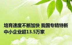 培育速度不断加快 我国专精特新中小企业超13.5万家