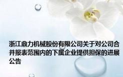 浙江鼎力机械股份有限公司关于对公司合并报表范围内的下属企业提供担保的进展公告