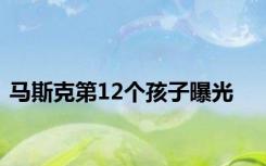 马斯克第12个孩子曝光