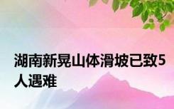 湖南新晃山体滑坡已致5人遇难