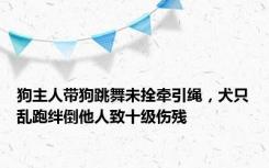 狗主人带狗跳舞未拴牵引绳，犬只乱跑绊倒他人致十级伤残