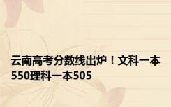 云南高考分数线出炉！文科一本550理科一本505