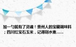 加一勺就有了灵魂！贵州人的宝藏调味料；四川红宝石玉米，记得别水煮……