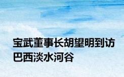 宝武董事长胡望明到访巴西淡水河谷