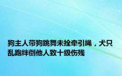 狗主人带狗跳舞未拴牵引绳，犬只乱跑绊倒他人致十级伤残