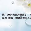 鹅厂2024大剧片单来了！《猎罪图鉴2》首宣：檀健次原班人马回归