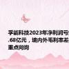 孚能科技2023年净利润亏损高达18.68亿元，境内外毛利率差异过大遭重点问询