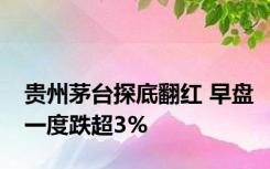 贵州茅台探底翻红 早盘一度跌超3%