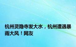 杭州灵隐寺发大水，杭州遭遇暴雨大风！网友