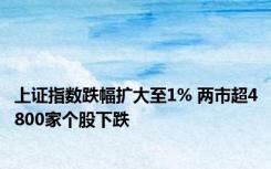 上证指数跌幅扩大至1% 两市超4800家个股下跌