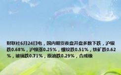 财联社6月24日电，国内期货夜盘开盘多数下跌，沪银跌0.68%，沪镍涨0.25%，螺纹跌0.51%，铁矿跌0.62%，玻璃跌0.71%，原油跌0.29%，合成橡