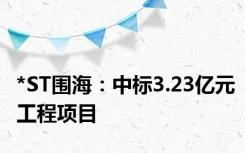 *ST围海：中标3.23亿元工程项目