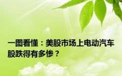 一图看懂：美股市场上电动汽车股跌得有多惨？