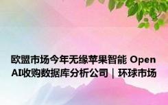 欧盟市场今年无缘苹果智能 OpenAI收购数据库分析公司｜环球市场