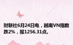 财联社6月24日电，越南VN指数跌2%，报1256.31点。