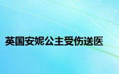 英国安妮公主受伤送医