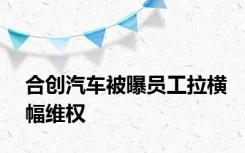 合创汽车被曝员工拉横幅维权