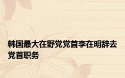 韩国最大在野党党首李在明辞去党首职务