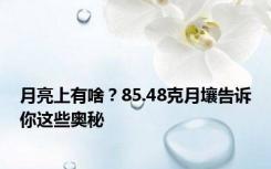 月亮上有啥？85.48克月壤告诉你这些奥秘