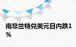 南非兰特兑美元日内跌1%