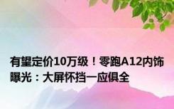 有望定价10万级！零跑A12内饰曝光：大屏怀挡一应俱全