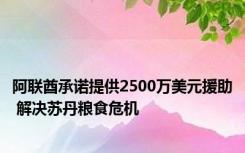 阿联酋承诺提供2500万美元援助 解决苏丹粮食危机